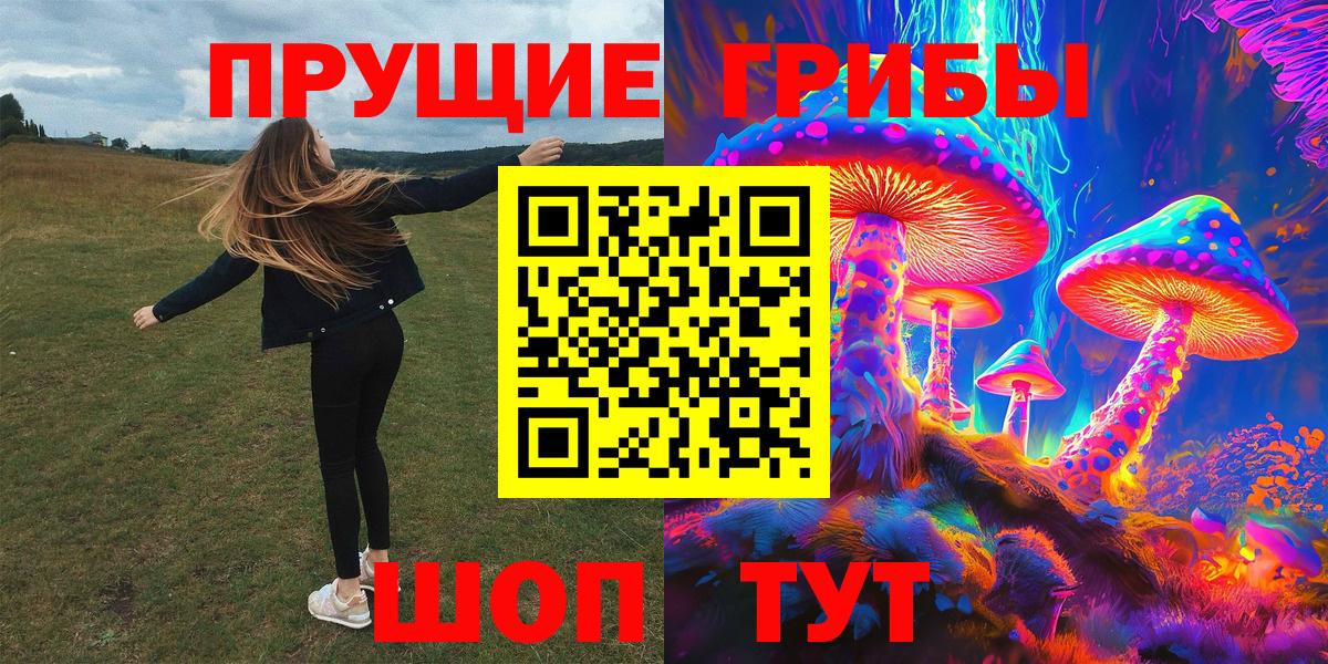 Галлюциногенные грибы Psilocybine cubensis Лянтор